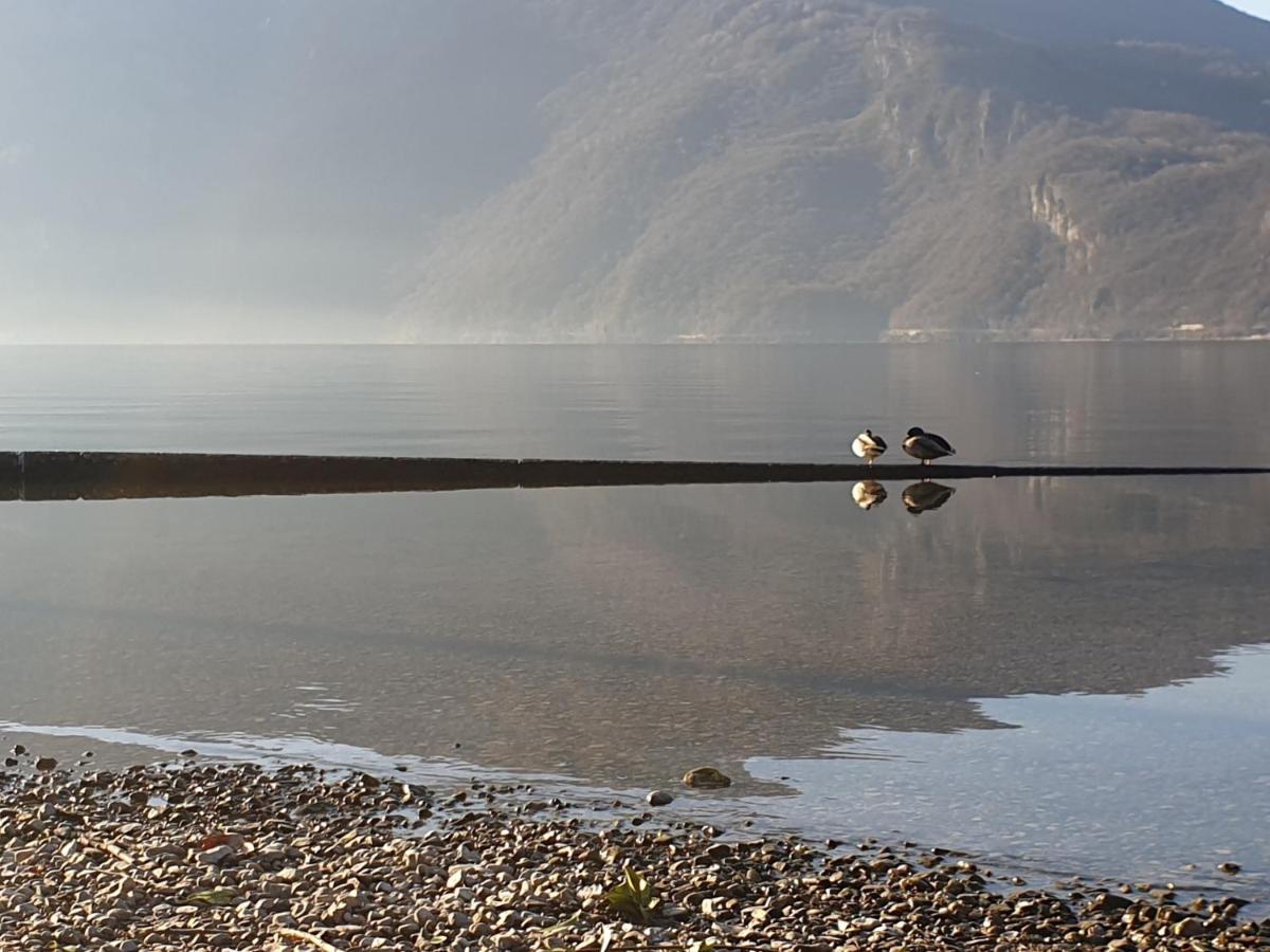 Bilocale Sul Lago Di Como La Ca' Ai Mulen Daire Mandello del Lario Dış mekan fotoğraf