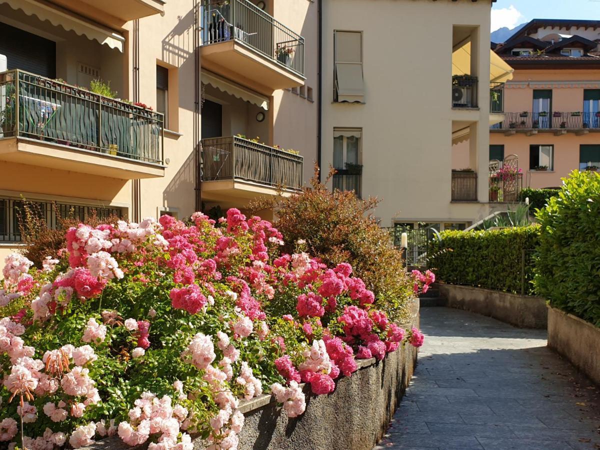 Bilocale Sul Lago Di Como La Ca' Ai Mulen Daire Mandello del Lario Dış mekan fotoğraf